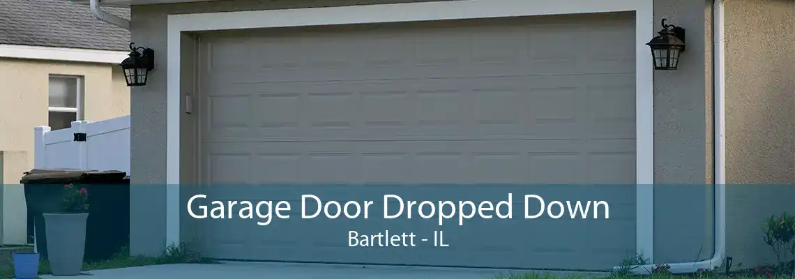 Garage Door Dropped Down Bartlett - IL