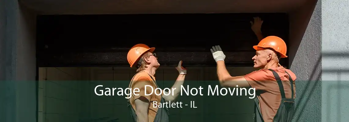 Garage Door Not Moving Bartlett - IL