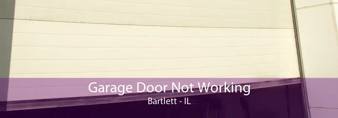 Garage Door Not Working Bartlett - IL