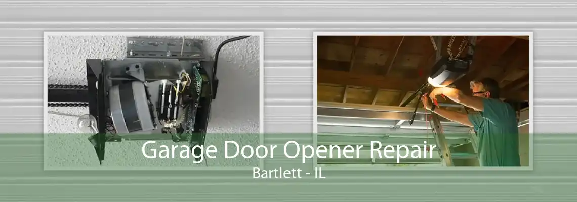 Garage Door Opener Repair Bartlett - IL