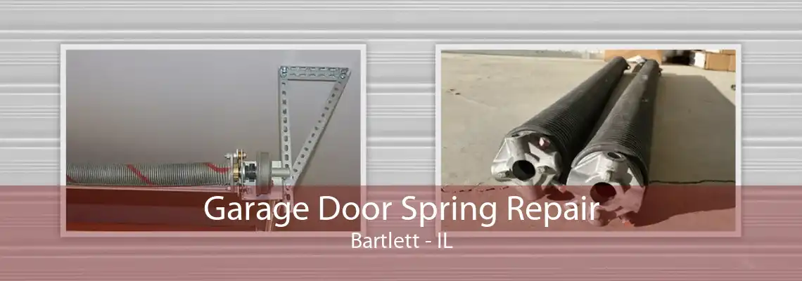 Garage Door Spring Repair Bartlett - IL