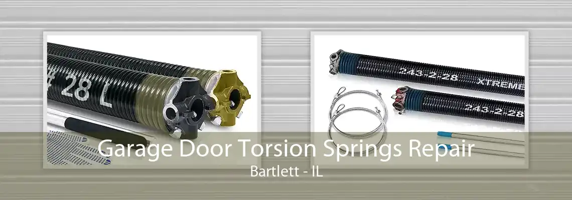 Garage Door Torsion Springs Repair Bartlett - IL