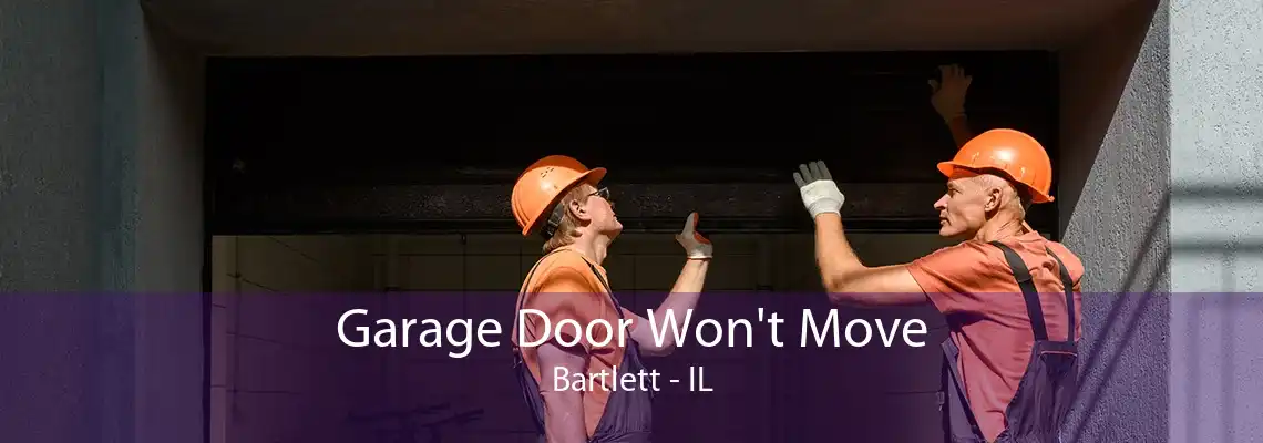 Garage Door Won't Move Bartlett - IL