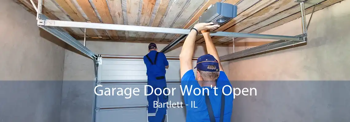 Garage Door Won't Open Bartlett - IL