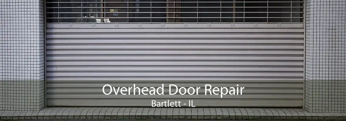 Overhead Door Repair Bartlett - IL