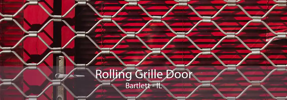 Rolling Grille Door Bartlett - IL